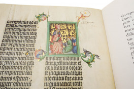 Die Goldene Bulle. Mit 20 Originalgetreuen Faksimile-Tafeln aus , Vienna, Österreichische Nationalbibliothek, Cod. 338, Facsimile Edition by ADEVA