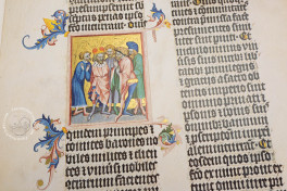 Die Goldene Bulle. Mit 20 Originalgetreuen Faksimile-Tafeln aus , Vienna, Österreichische Nationalbibliothek, Cod. 338, Facsimile Edition by ADEVA