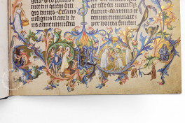 Die Goldene Bulle. Mit 20 Originalgetreuen Faksimile-Tafeln aus , Vienna, Österreichische Nationalbibliothek, Cod. 338, Facsimile Edition by ADEVA