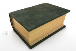 Das Da Costa Stundenbuch (Leather Edition), New York, The Morgan Library & Museum, MS M.399, Das Da Costa Stundenbuch (Leather Edition) by Adeva.