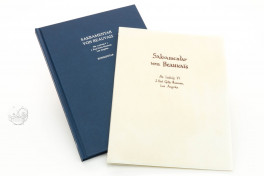 Das Sakramentar von Beauvais (Normal Edition), Los Angeles, The Getty Museum, Ms. Ludwig V 1, Das Sakramentar von Beauvais (Normal Edition) by Adeva.