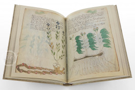 Voynich Manuscript, New Haven, Beinecke Rare Book and Manuscript Library, MS 408, Facsimile Edition bySiloé, arte y bibliofilia, 2026