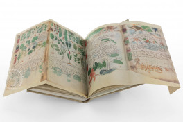 Voynich Manuscript, New Haven, Beinecke Rare Book and Manuscript Library, MS 408, Facsimile Edition bySiloé, arte y bibliofilia, 2026
