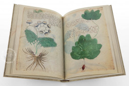 Voynich Manuscript, New Haven, Beinecke Rare Book and Manuscript Library, MS 408, Facsimile Edition bySiloé, arte y bibliofilia, 2026