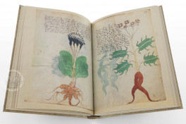 Voynich Manuscript, New Haven, Beinecke Rare Book and Manuscript Library, MS 408, Facsimile Edition bySiloé, arte y bibliofilia, 2026