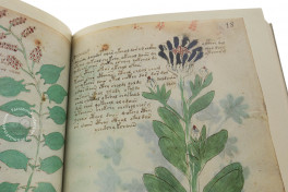 Voynich Manuscript, New Haven, Beinecke Rare Book and Manuscript Library, MS 408, Facsimile Edition bySiloé, arte y bibliofilia, 2026