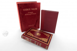 Valois Codex - Casanatense Evangeliary , Rome, Biblioteca Casanatense, Ms. 2020, Italian Edition by Vallecchi