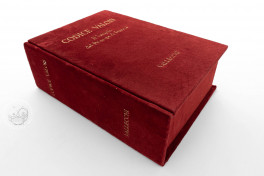 Valois Codex - Casanatense Evangeliary , Rome, Biblioteca Casanatense, Ms. 2020, Italian Edition by Vallecchi