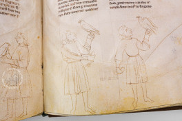 Das Falkenbuch Kaiser Friedrich II - De arte venandi cum avibus, Vatican City, Biblioteca Apostolica Vaticana, Pal. lat. 1071, Facsimile edition by ADEVA