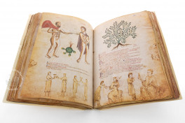 Die Medicina Antiqua, Vienna, Österreichische Nationalbibliothek, Cod. 93, Facsimile edition by ADEVA