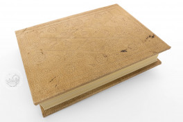Liber Scivias (Normal Edition), Original manuscript lost/stolen, Liber Scivias (Normal Edition) by ADEVA