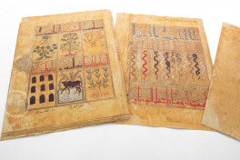 Kitab al-Diryaq, Paris, Bibliothèque nationale de France, Ms. Arabe 2964, Facsimile edition by Aboca Museum 2008