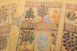 Kitab al-Diryaq, Paris, Bibliothèque nationale de France, Ms. Arabe 2964, Facsimile edition by Aboca Museum 2008