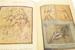 Codice Resta, Milan, Veneranda Biblioteca Ambrosiana, Facsimile edition by Vallecchi