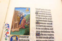 Très Riches Heures du Duc de Berry, Chantilly, Musée Condé, Ms. 65, Très Riches Heures du Duc de Berry facimile edition by Faksimile Verlag.
