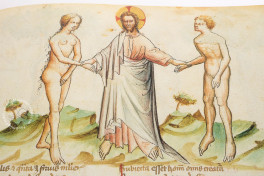 Speculum Humanae Salvationis, ms. Vit.25-7 - Biblioteca Nacional de Espana (Madrid), Facsimile edition by Edilan