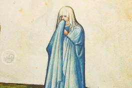Speculum Humanae Salvationis, ms. Vit.25-7 - Biblioteca Nacional de Espana (Madrid), Facsimile edition by Edilan
