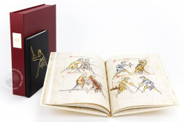 Illuminated Fightbook - The Royal Armouries Edition, London, Royal Armouries, Ms. I.33, Illuminated Fightbook - The Royal Armouries Edition facsimle edition by Extraordinary Editions.