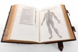 Andreas Vesalius: De Humani Corporis Fabrica, London, British Library, 548.i.2.(1), Facsimile edition by Pytheas Books