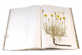 Paul Kitaibel: Descriptiones Et Icones Plantarum Rariorum HungarFacsimile edition by Pytheas Books
