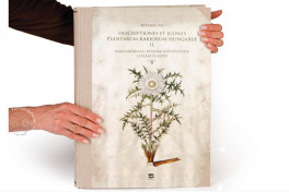 Paul Kitaibel: Descriptiones Et Icones Plantarum Rariorum HungarFacsimile edition by Pytheas Books