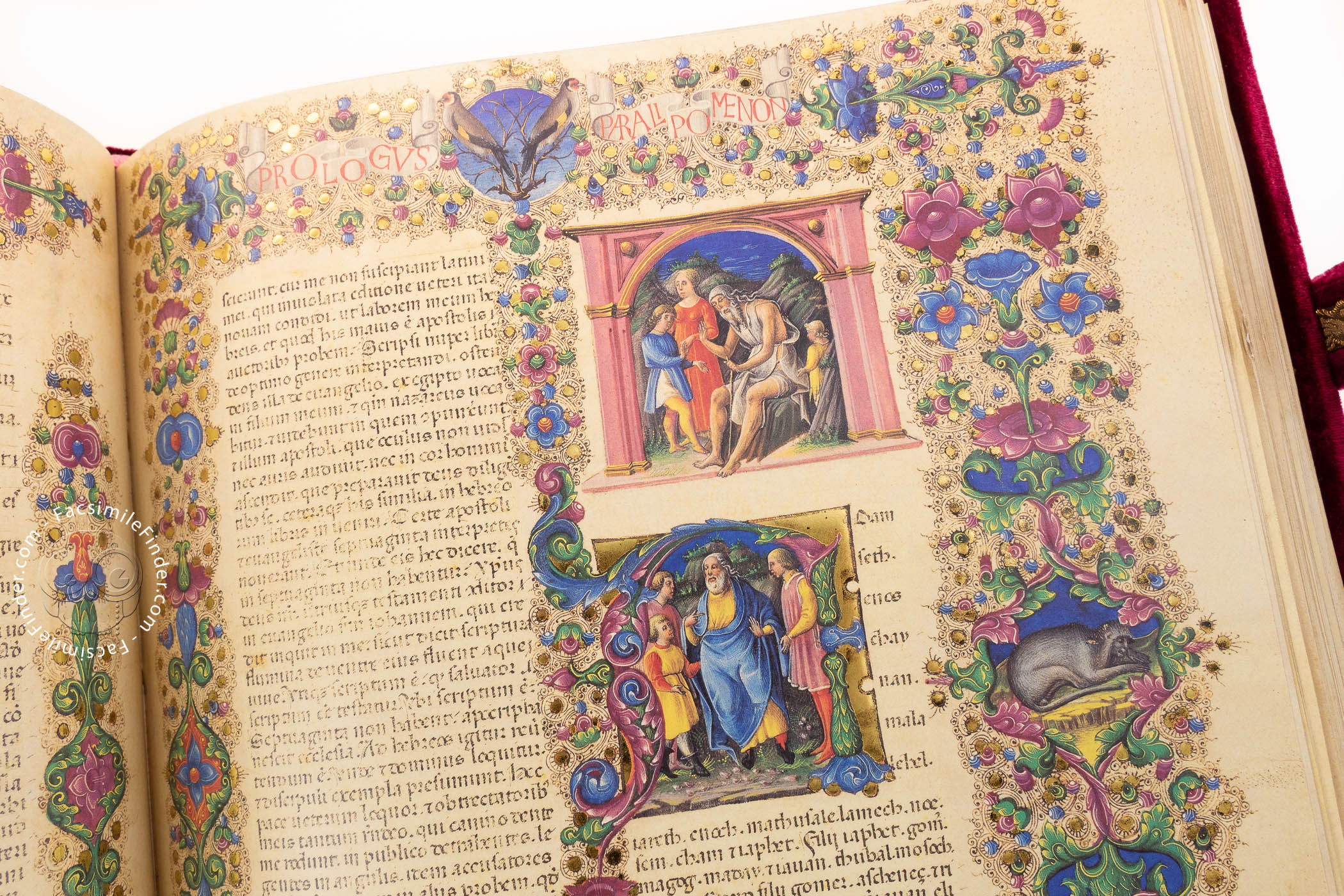 Fol.280r Opening of the Book of Ruth, from the Borso d'Este Bible. Vol 1  (vellum)