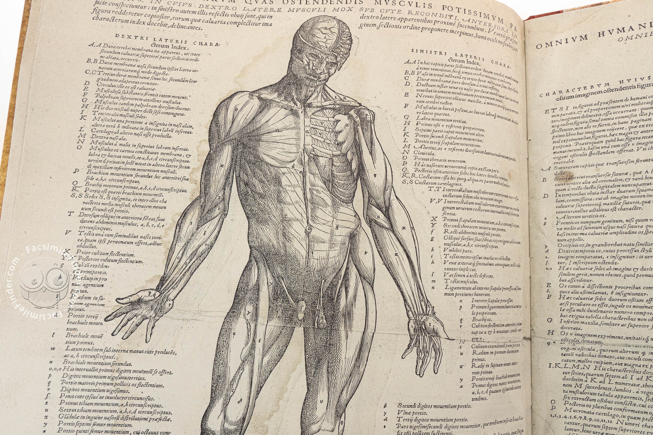 Andreas Vesalius: De Humani Corporis Fabrica and Epitome « Facsimile ...