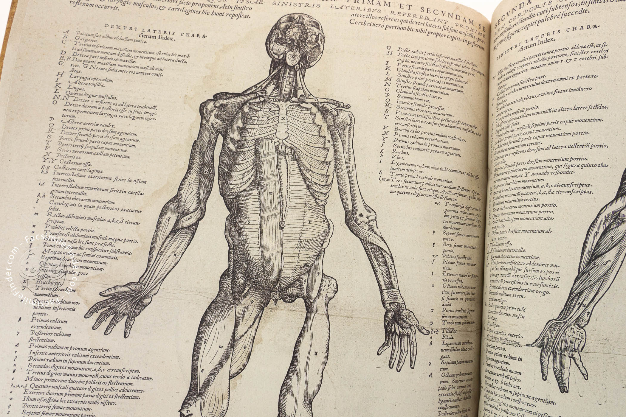 On the Fabric of the Human Body « Facsimile edition