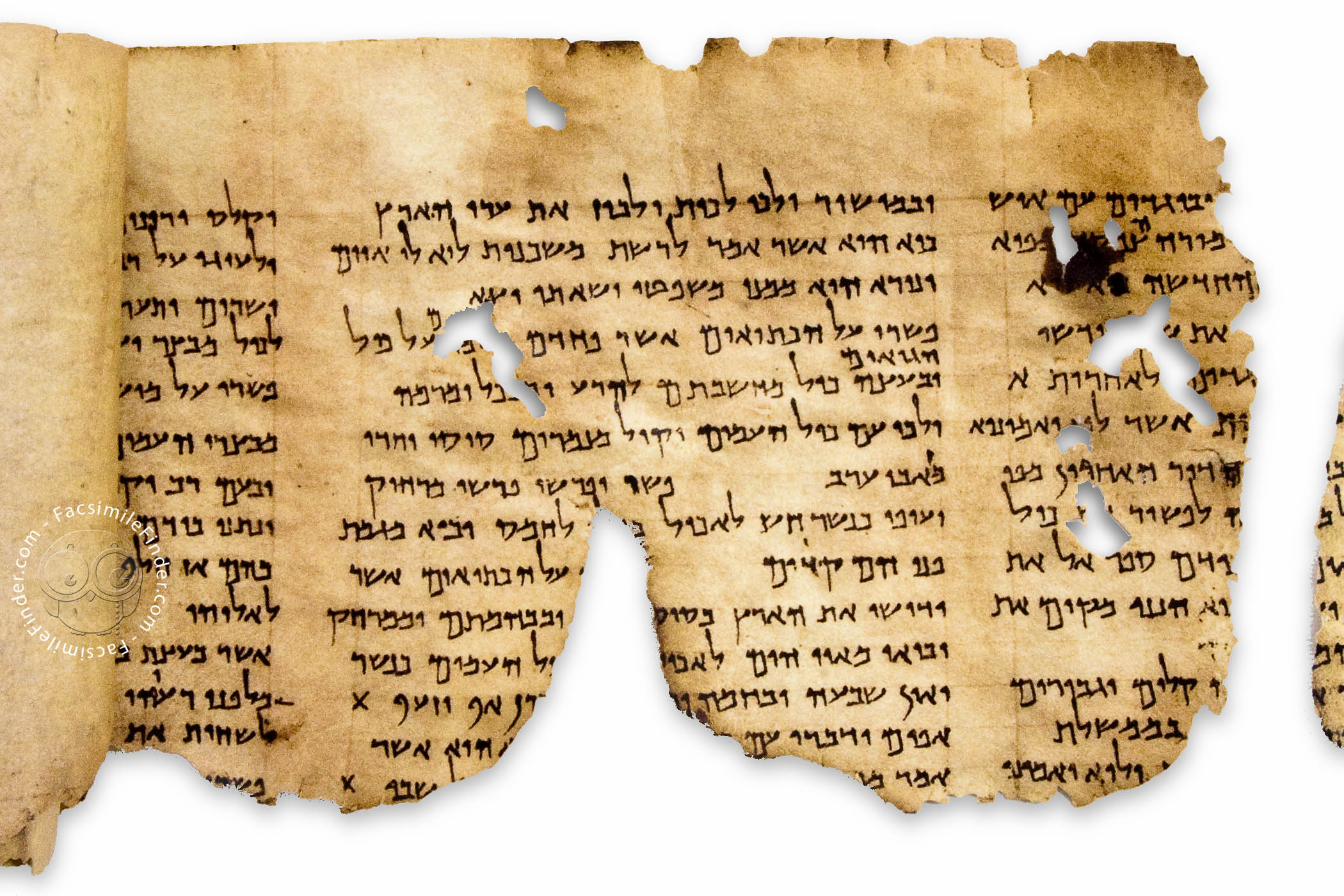Dead Sea Scrolls  Facsimile Editions