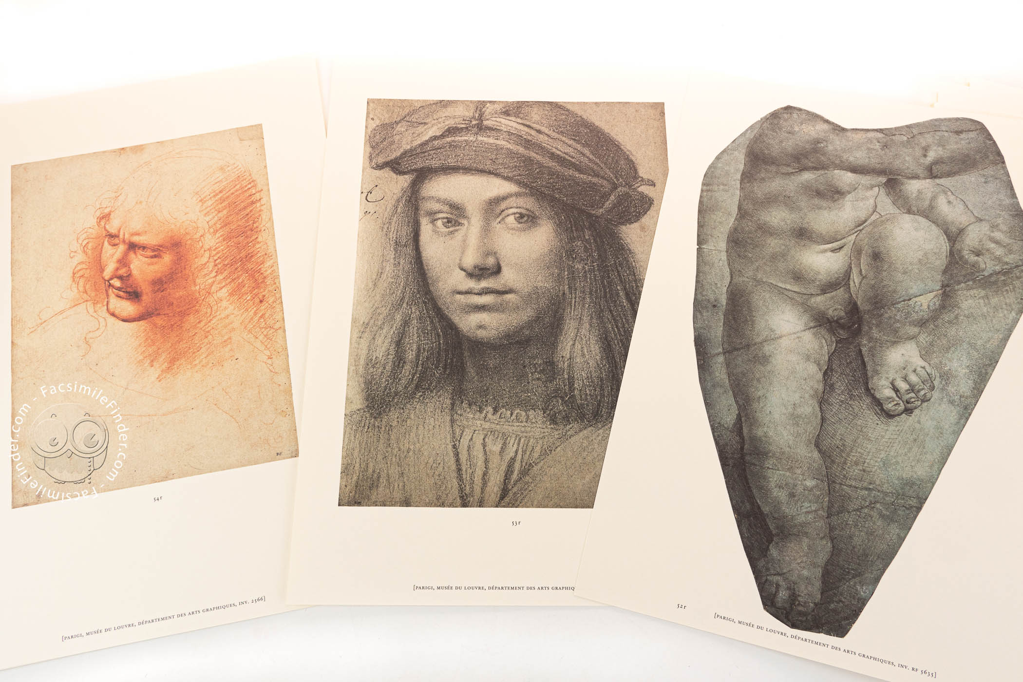 Da Vinci Wallpaper V1.0b | Da vinci drawings, Anatomy reference, Leonardo  da vinci
