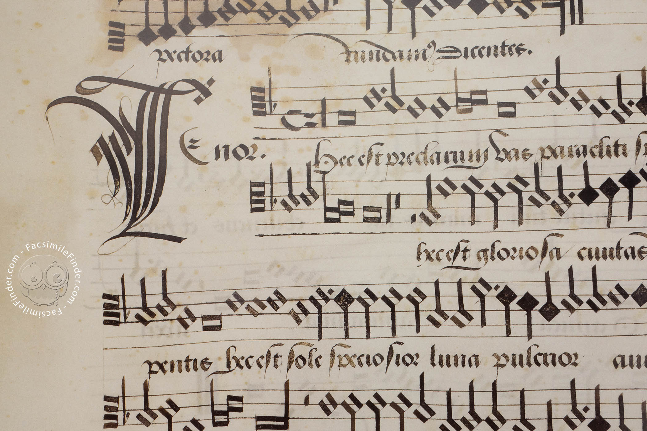 Music for King Henry VIII « Facsimile edition