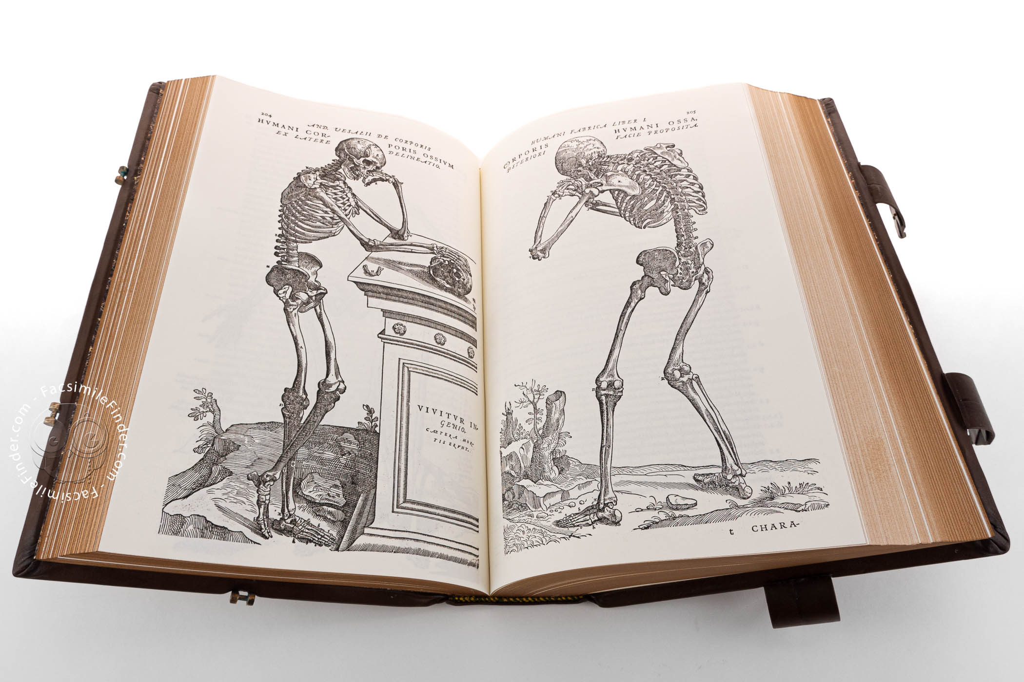 Andreas Vesalius Book De Humani Corporis Fabrica