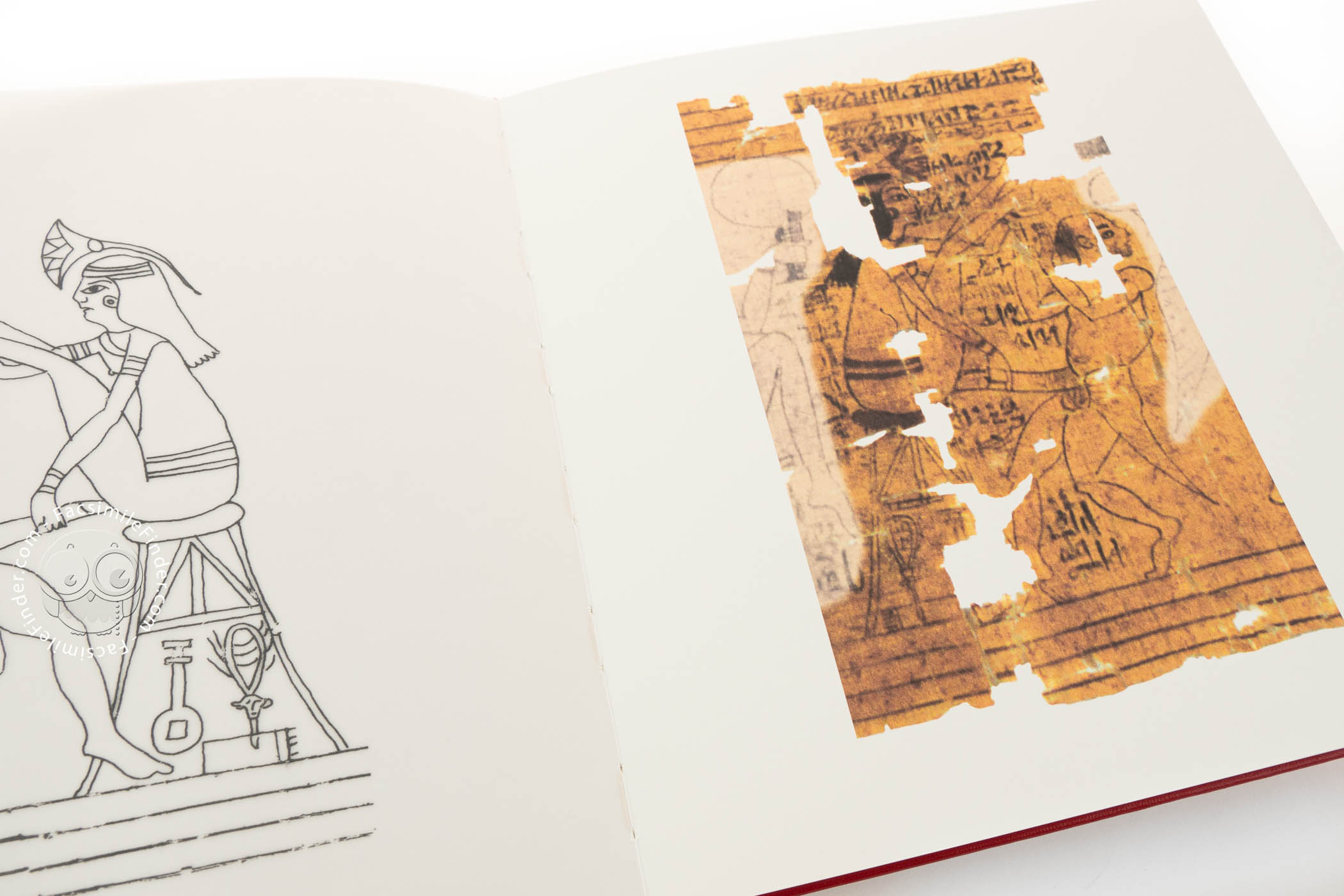 Papyrus reconstruction erotic torino Turin King