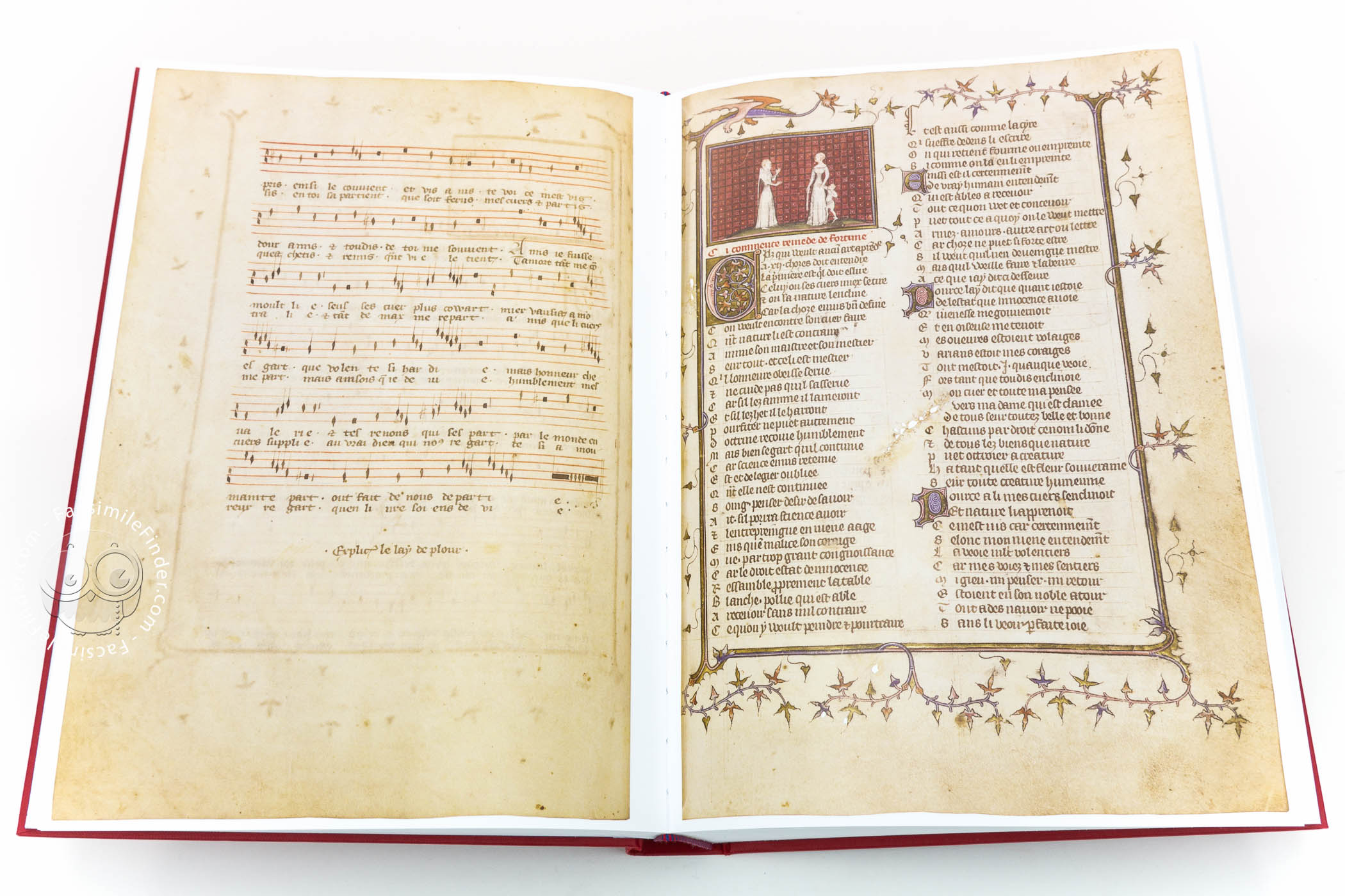 Pages 91-126 of Fernandina Guide Manuscript - Manuscript