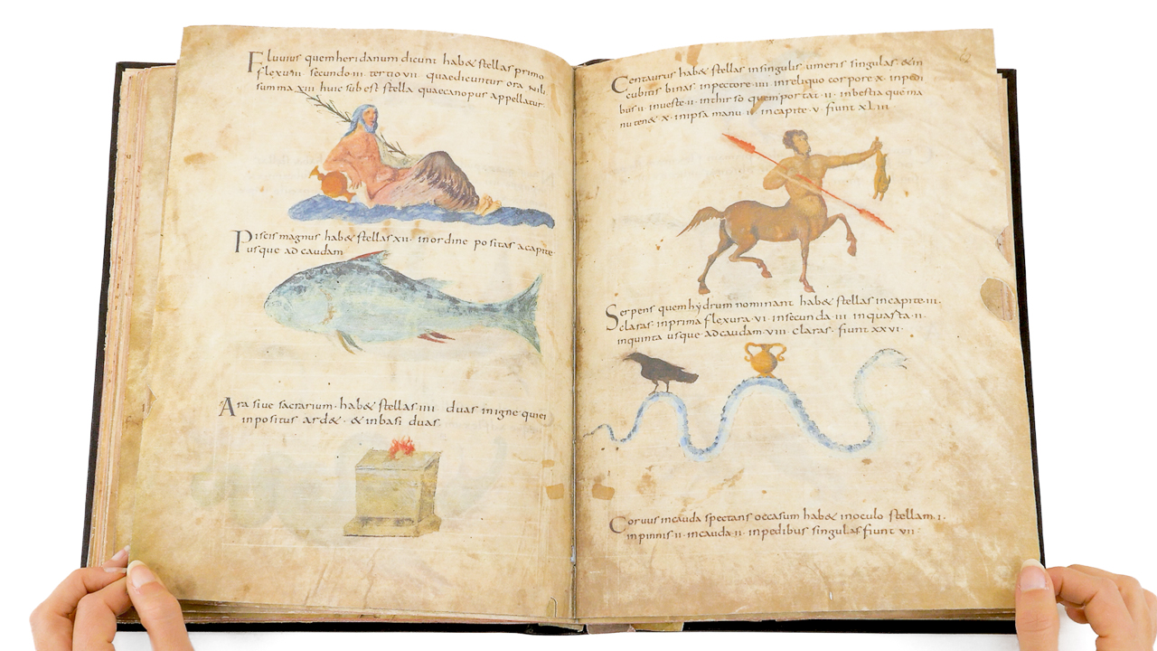 Metz Codex